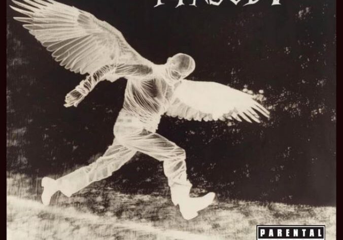 Pajaros tristes no se olvidan de volar portada