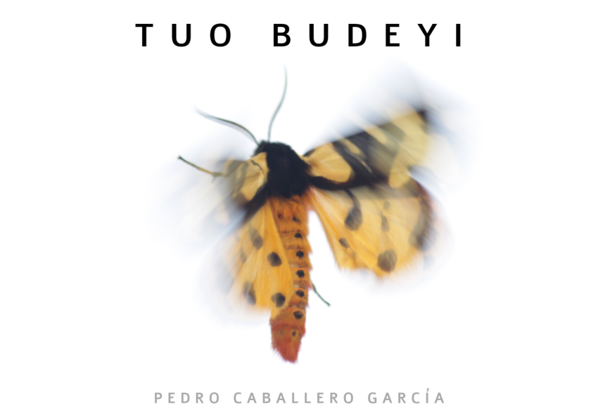 tuo_budeyi_pedro